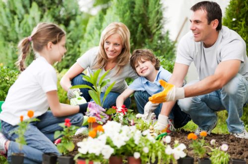 Hoe u van uw tuin kunt genieten